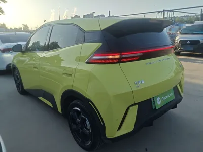 BYD Seagull