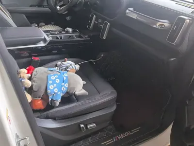 Haval Big Dog