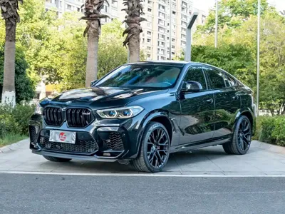 BMW X6 M