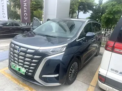 Denza Denza D9