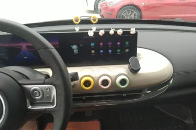Wuling Bingo