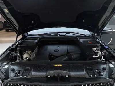 Mercedes-Benz 奔驰GLE(进口)