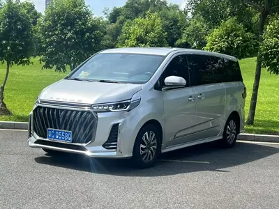 大通 G20