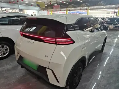 BYD Seagull