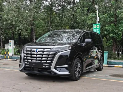 Denza Denza D9