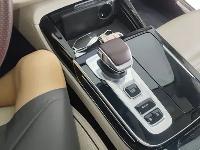 Hongqi Hongqi H9
