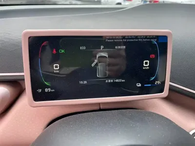BYD Seagull