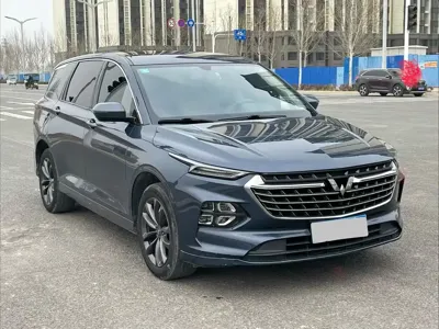 Wuling Victory