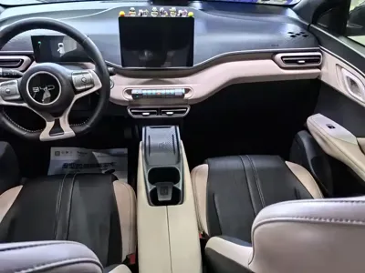 BYD Seagull