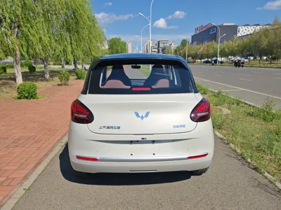 Wuling Bingguo