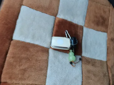 BYD F0