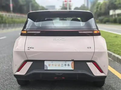 BYD Seagull