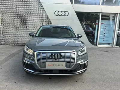 Audi Q2L e-tron