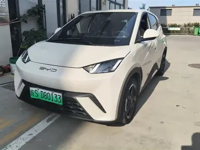 BYD Seagull