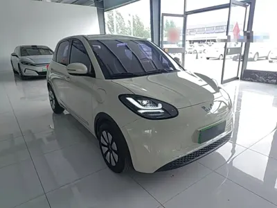 Wuling Bingo