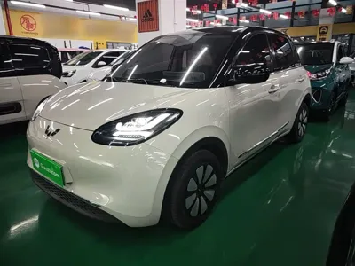 Wuling Bingo