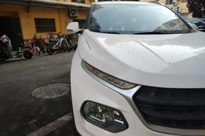 Baojun 510