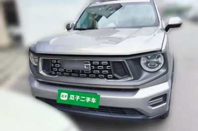 Haval H Dog
