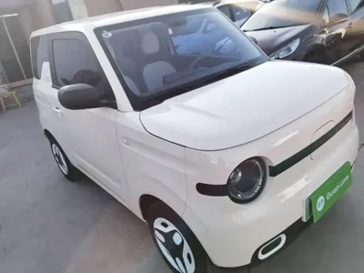 Galaxy Panda