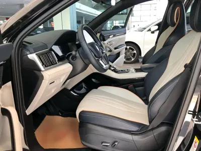 BYD PLUS New Energy