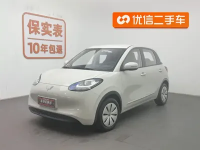 Wuling Bingo