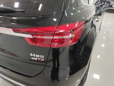Hongqi HS5
