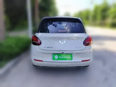 Wuling Bingo