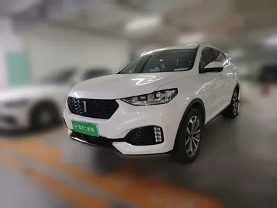 WEY Wey VV6
