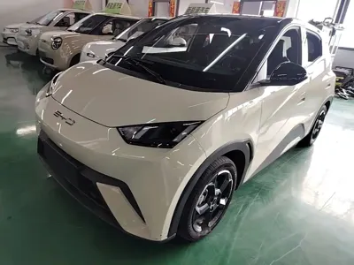 BYD Seagull
