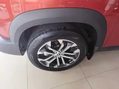 Haval Big Dog