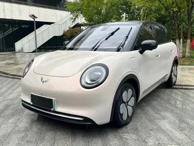 Wuling Bingo Pro