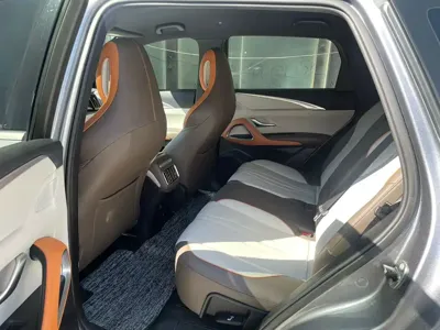 BYD Pro New Energy