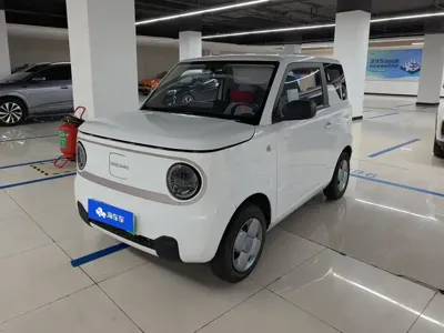 Galaxy Panda