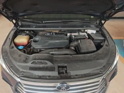 BYD MAX