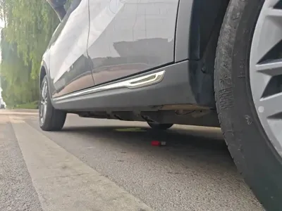 NETA Neta V