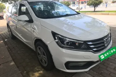 Baojun 310W
