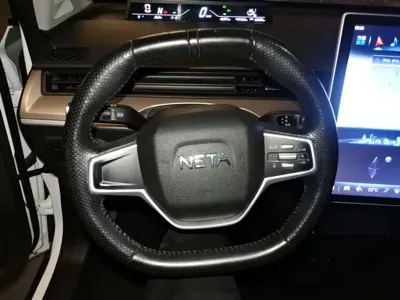 NETA Neta V