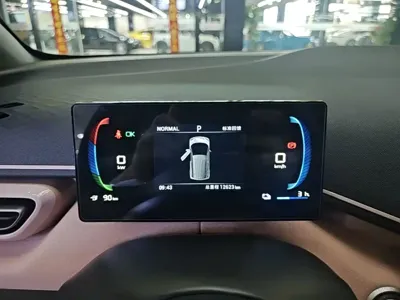 BYD Seagull