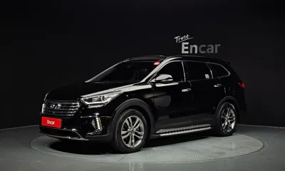 Hyundai Maxcruz