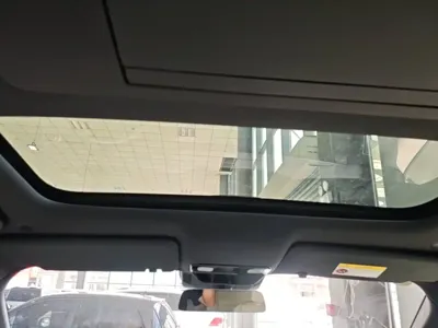 Li Auto Li L9