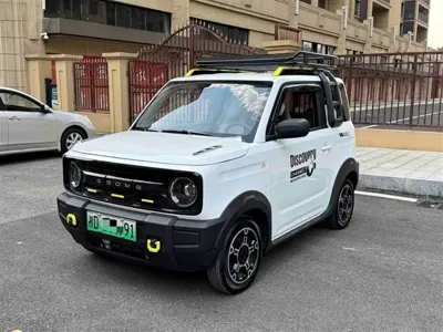Galaxy Panda