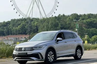 Volkswagen Tiguan L New Energy