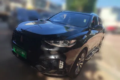 WEY VV6