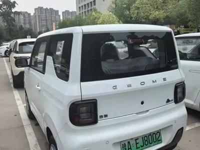 Galaxy Panda