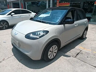 Wuling Bingo
