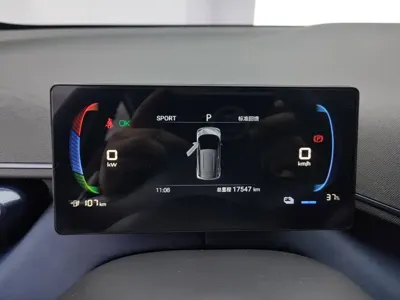 BYD Seagull