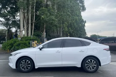 BYD Destroyer 05