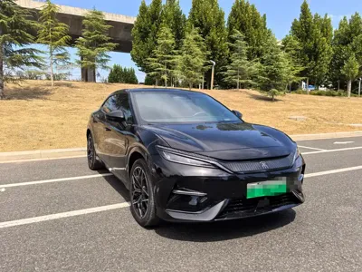 BYD L EV