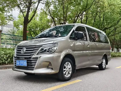 Fengxing Lingzhi