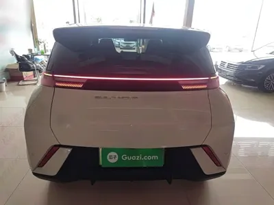 BYD Seagull